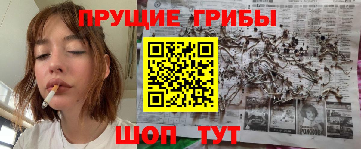 Галлюциногенные грибы ЛСД  Галлюциногенные грибы GOLDEN TEACHER  Новороссийск  купить наркотики сайты  Вход с VPN 